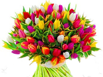 Привітання з Міжнародним жіночим днем 8 Березня!