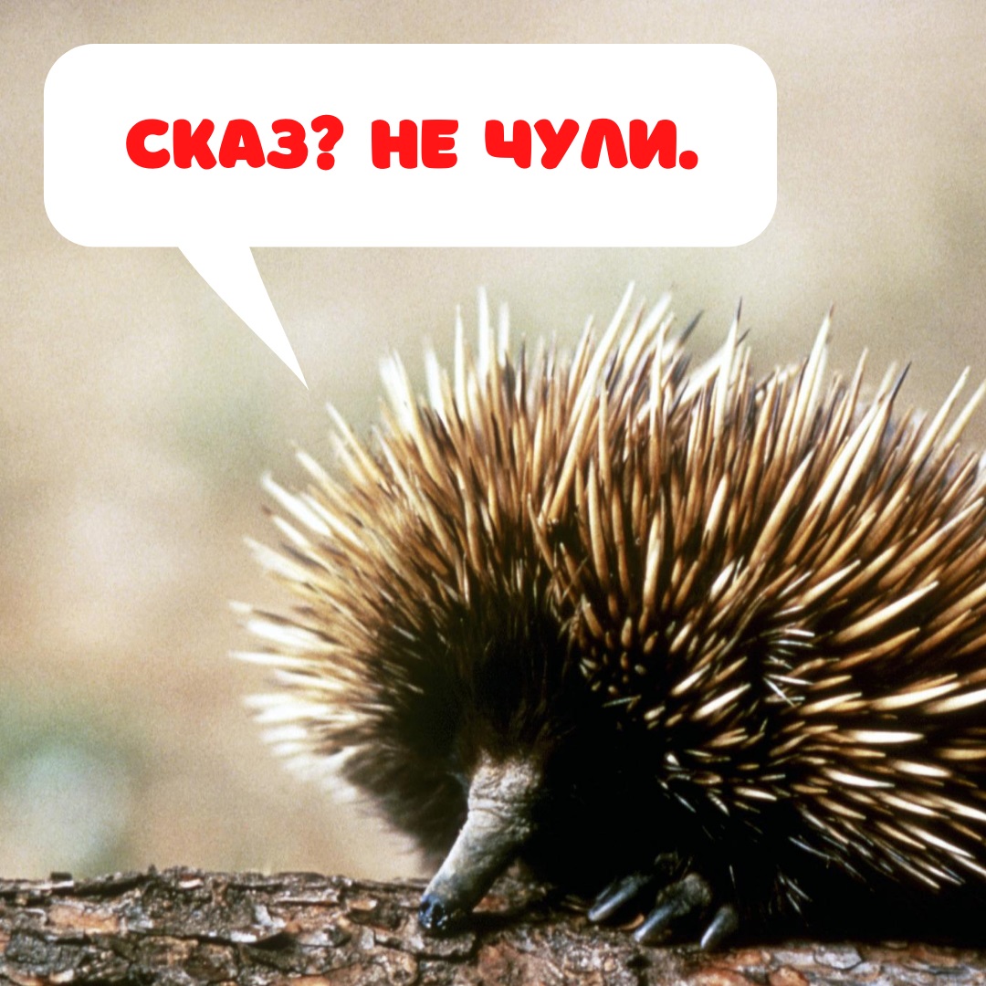 ОБЕРЕЖНО – СКАЗ!